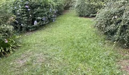 115167 CHÁCARA EM TAQUARA NO RS, CASA 309M² PISCINA, MUITO POMAR, AÇUDE COM PEIXES, FIBRA