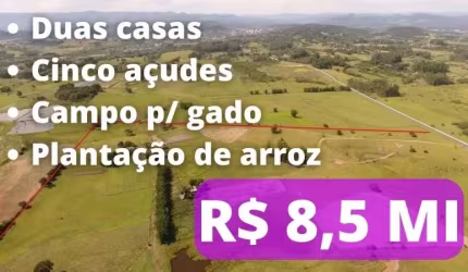 113390 FAZENDA ESCRITURADA PARA GADO, ARROZ OU LOTEAMENTO COM RIO, SEDE E 101 HA EM PAROBÉ