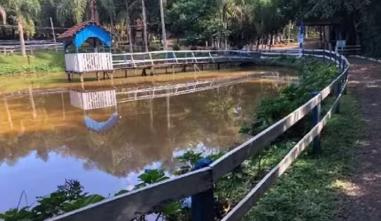 SÍTIO COM CAMPING COMPLETO EM IGREJINHA COM 22 HECTARES