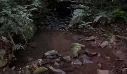 [96690] CHÁCARA NO CARAÁ 5,5HA COM LUZ RANCHO E MATA NATIVA