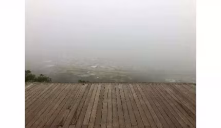 SÍTIO COM DUAS CASAS, AÇUDE COM ILHA E POMARES EM CARAÁ COM 20 HECTARES