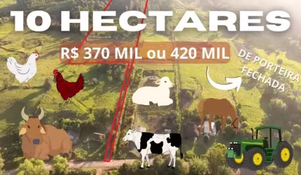 SÍTIO COM MÓVEIS, TRATOR, GALINHAS, CABRITOS, OVELHAS, VACAS, UM CAVALO E 10 HA NO CARAÁ