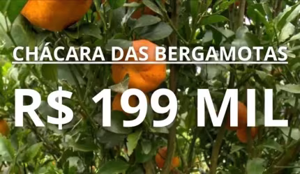 CHÁCARA DAS BERGAMOTAS COM RIACHO, AÇUDE, FIBRA ÓTICA, ÁGUA ENCANADA E 1 HECTARE NO CARAÁ