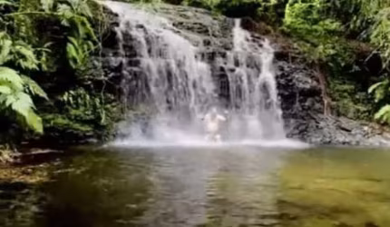 124786 SÍTIO NO RIOZINHO RS 38 HECTARES COM RIO E CACHOEIRA COM ÁGUA POTÁVEL