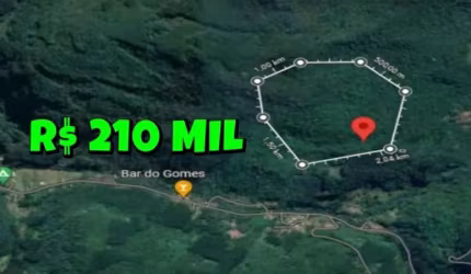 [117043] SÍTIO COM 30 HECTARES ESCRITURADAS, VERTENTE, 50 ARAUCÁRIAS, MATA NATIVA, ESTRADA