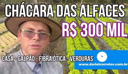 118446 CHÁCARA EM ARARICÁ COM CASA, POÇO, VERTENTE, FIBRA ÓTICA E PRODUÇÃO DE VERDURAS