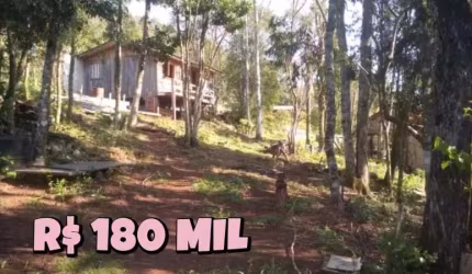 [554]CHÁCARA EM RIOZINHO COM MATRÍCULA INDIVIDUAL 5 HA COM CASA, ARVORES FRUTÍFERAS,ROÇA, PARREIRA DE UVA  R$180MIL