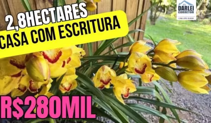 [566] CHÁCARA EM TRÊS CACHOEIRAS 2,8HA COM CASABANANAL ESCRITURA FIBRA ÓTICA