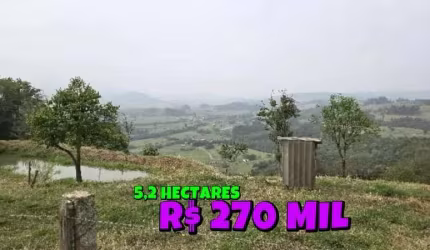 [587]CHÁCARA EM SANTO ANTÔNIO DA PATRULHA 5,8HA MATRÍCULA INDIVIDUAL COM CASA