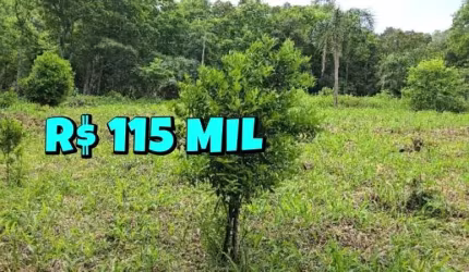 [651] CHÁCARA COM 1HA, ROÇA, LUZ, ÁGUA, FRUTÍFERAS E MATA NATIVA EM NOVA HARTZ