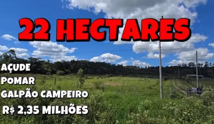 [742] SÍTIO EM SANTO ANTÔNIO DA PATRULHA, DE FRENTE PARA A RS474 COM 22HECTARES