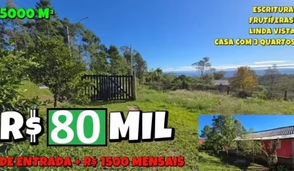 [744] CHACRINHA EM FREGUESIA DO MUNDO NOVO, TAQUARA-RS 5000M²