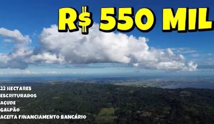 [747] SÍTIO NO ALTO CARAÁ, COM 20 HA, ESCRITURADO, COM ROÇA PRONTA PARA PLANTIO
