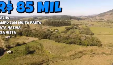 [122311] CHÁCARA COM CAMPO BOM DE PASTO, MATA NATIVA COM CÓRREGO DENTRO, 7000M²