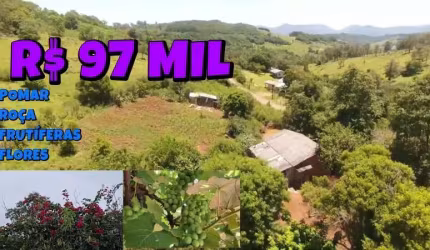 [760] CHÁCARA EM PALMEIRA DO SERTÃO, COM 4150M² ALUGA OU VENDE