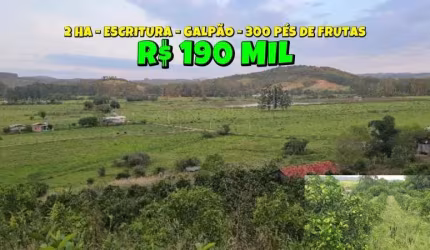 [739] CHÁCARA EM SANTO ANTÔNIO DA PATRULHA 2HA ESCRITURA AMPLO POMAR FIBRA ÓTICA POÇO E GALPÃO