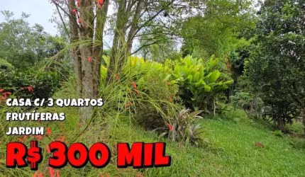 [762] CHÁCARA EM PALMEIRA DO SERTÃO, 1HA ESCRITURADO, CASA COM 3 QUARTOS, POMAR, JARDIM E HORTA