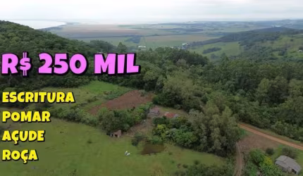 [763] CHÁCARA EM SANTO ANTÔNIO, EM PALMEIRA DO SERTÃO 13 HA