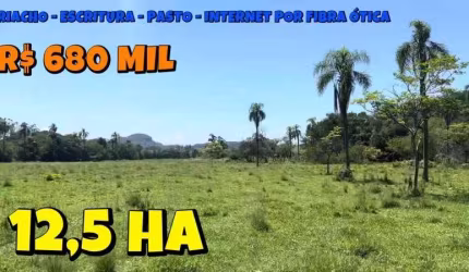 [777] CHÁCARA NO RIO DA ILHA, TAQUARA,  ESCRITURADA, COM 12,5 HA, MUITO PASTO, RIACHO, MATA NATIVA