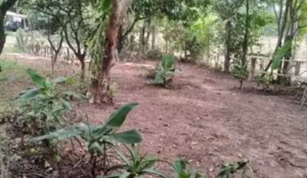 [485]MINI CHACRINHA EM GRAVATAÍ RS, LUZ, POÇO, CASINHA E FRUTÍFERAS