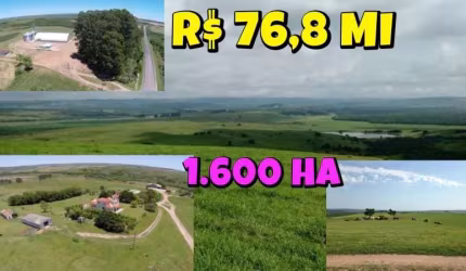 [793] Fazenda de Alto Padrão em Bagé, 1.600 Hectares, pronta para o plantio de Soja em 80% da propriedade