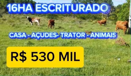 [712]CHÁCARA EM MOSTARDAS 16HA ESCRITURADO COM CASA AÇUDE E TRATOR