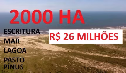 [717] FAZENDA EM PALMARES DO SUL 2000HA COM LAGOA, MAR, PASTAGEM, 800HA DE PÍNUS ESCRITURADA