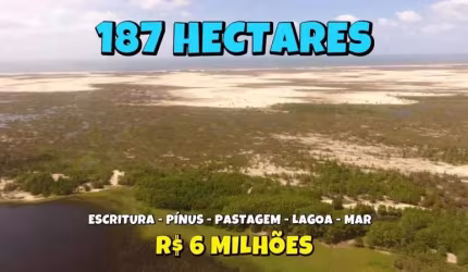 [727] FAZENDA EM MOSTARDAS ESCRITURADA 187HA COM PÍNUS, PASTAGEM, LAGOA E MAR