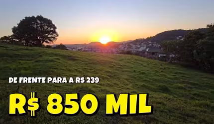 [734] TERRENO EM PAROBÉ 4200M² FRENTE PARA RS 239 COMERCIAL OU RESIDENCIAL ESCRITURADO