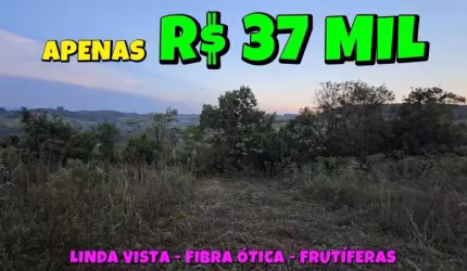[837] TERRENO RURAL, PARAÍSO DAS FRUTAS, EM PALMEIRA DO SERTÃO