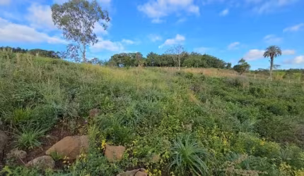 [864] TERRENO RURAL EM SANTO ANTÔNIO DA PATRULHA 4.000 M²