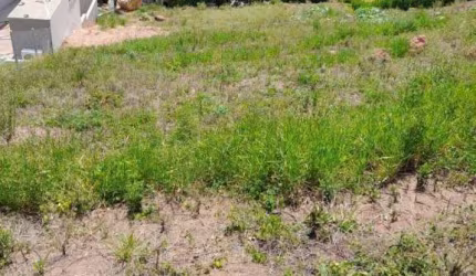 Terreno à venda, 2330 m² por R$ 795.000,00 - Condomínio Jardim Primavera - Louveira/SP