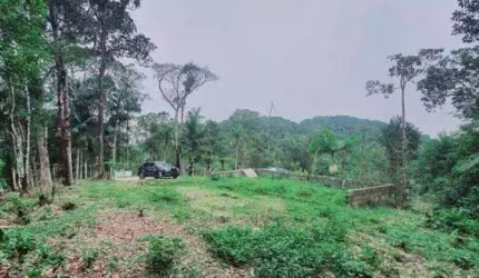 Sítio com 1 dormitório à venda, 22000 m² por R$ 400.000 - Penteado - Embu-Guaçu/SP