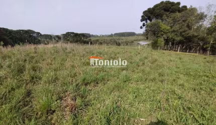 Chácara à venda, Borda do Campo - São José dos Pinhais/PR