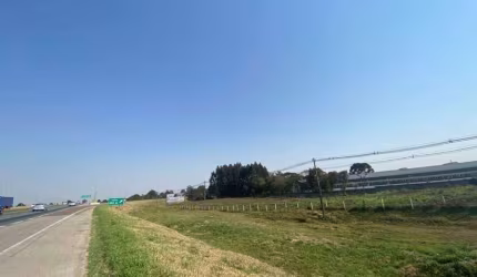 Terreno Ouro Fino São José dos Pinhais