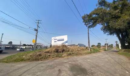 Terreno Itália São José dos Pinhais