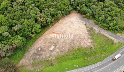 Área Almirante Tamandaré