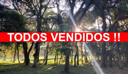 Restam 2 terrenos urbano de 10.000 m² cada um, todos com a matricula já individualizadas, agua, luz, net e aslfato na porta do terreno,prox curitiba