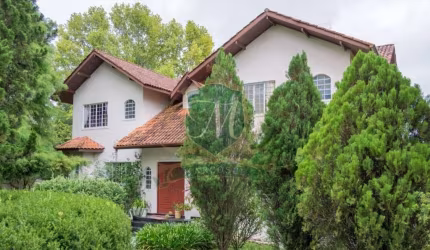 chacara a venda na estrada Ecologica, proximo aplhaville Pinhais, c/ terreno de 6.000 m² e casa de 400 m², 4 qtos, 3 salas, 6 bh, pomar, lareira, hidr
