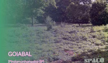 Terreno à venda, 1000 m² por R$ 140.000,00 - Goiabal - Pindamonhangaba/SP