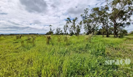 Terreno à venda, 1000 m² por R$ 103.000,00 - Mandú - Pindamonhangaba/SP