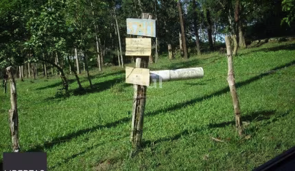 Terreno para Venda - 0m², 0 dormitórios, Lomba do Pinheiro