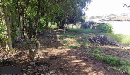 Terreno no Partenon com 494m² plano