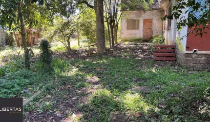 Terreno em Vila Ipiranga