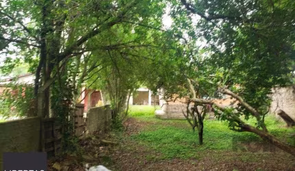 Terreno em Belém Velho