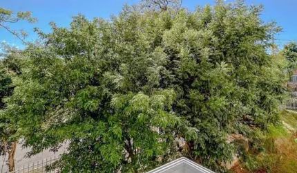 Apartamento em Teresópolis