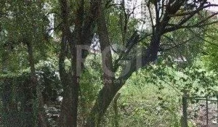 Terreno para Venda - 300m², Boa Vista