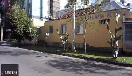 Casa para Venda - 300m², 3 dormitórios, 2 vagas - Partenon