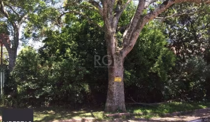 Terreno para Venda - 0m², 0 dormitórios, Teresópolis