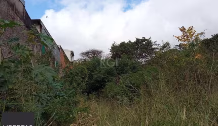 Terreno no bairro Nonoai